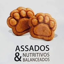 Biscoito Premier Pet Cookie Para Cães Adultos Raças Pequenas Foto mini 2