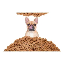 Bob Dog Gold Premium Ad. Raças Pequenas 15kg Foto mini 2
