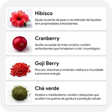 Bodycell Suchá Dermrio - Suco Detox 150g Frutas Vermelhas Foto mini 4