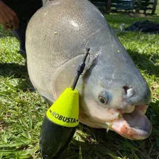 B贸ia Cevadeira Robusta Com Amortecedor 65g Pesqueiro Jrpesca Foto mini 2