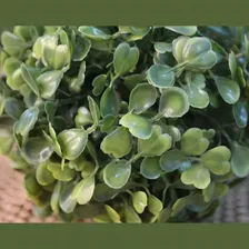 Bola Buchinho Grama Verde Artificial Topiaria 10cm Foto mini  3