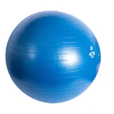 Bola De Pilates Ginastica Gym Ball 65cm T9 Acte Foto mini 4