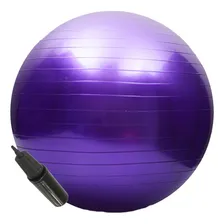 Bola Pilates Suica Yoga Ginastica 65cm Com Bomba De Mão Foto mini 1
