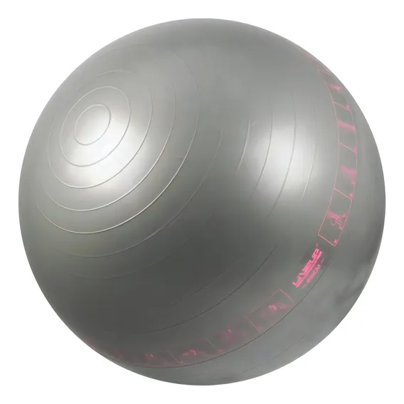 Bola Suíça Para Pilates 65 Cm Cinza Liveup Ls3577-c Foto 1