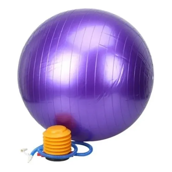 Bola Suiça Pilates 65cm Com Bomba Abdominais Yoga 150kg Foto 1