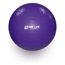 Bola Suiça/pilates Para Ginástica 65cm Foto mini 1