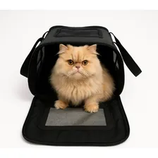 Bolsa Air Europa Avião Para Animais De Estimação Ska Petshop Transporte Cabine Air Europa Preta Tamanho Pequeno Foto mini  3