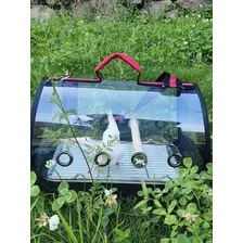 Bolsa Passarinho Mala Transporte Pássaro Aves Panorâmica Foto mini 2