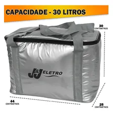Bolsa Térmica 30 Litros Grande Cerveja Lanche Praia Com Alça Cor Cinza Foto mini 3