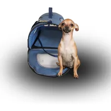 Bolsa Transporte Pet Latam Aéreo Aerial Cães Gatos Foto mini 3