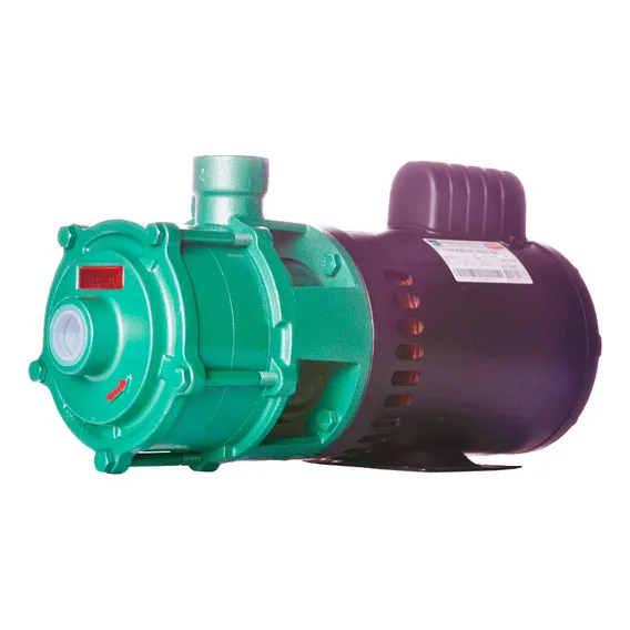 Bomba Água Multiestagio Thebe P-11/3 Nr 1.5cv - 127/220-254v Foto 1