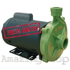 Bomba CentrĂfuga 2cv Fgn-3 127/220/254v Monofásico Famac Foto mini 1