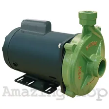 Bomba Centrífuga 3/4cv Fgn-3 Trifásico Famac Cor Preto Fase Elétrica Trifásica Foto  mini 1