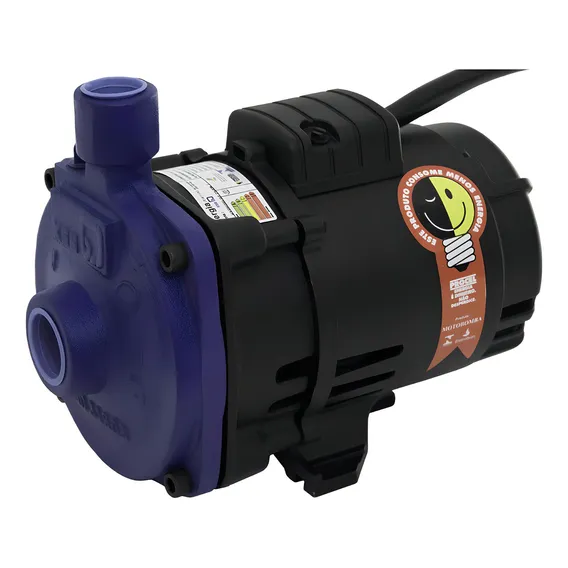 Bomba CentrĂfuga Hydrobloc 1,5cv Trifásica C1500n Ksb Foto 1