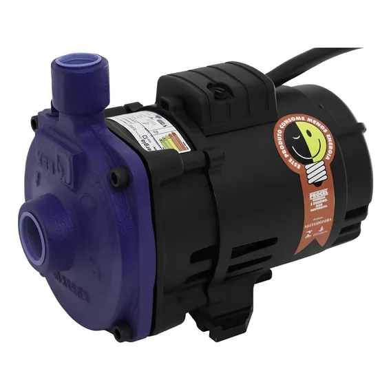 Bomba Centrifuga Ksb Hydrobloc C2000nt 2 Cv Trifasica 220/38 Foto 1