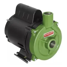Bomba centrĂfuga monofásica Schneider BC-98 1/3CV cor verde 60Hz 127V Foto mini 1