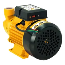 Bomba D`água Periférica - B1000 - 1cv - Bivolt - Jst Foto mini  2