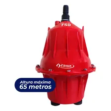 Bomba Dágua Submersa Sapo 340w Fenix 750 110v Foto mini 1