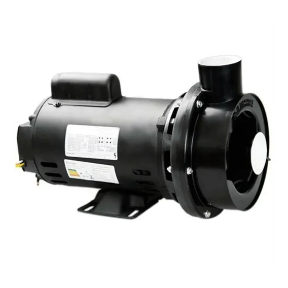 Bomba Para Hidromassagem Dancor Chs-17 2cv Trifásica Foto 1