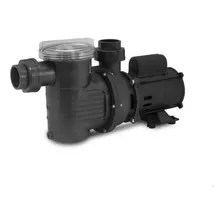 Bomba Para Piscina 1/4cv Sibrape Motor Weg Foto mini  3