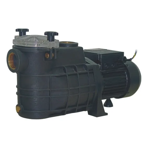 Bomba Para Piscina Tsw-750 Thebe 1/2cv 110/220v 127V/220V Foto 1