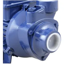 Bomba Periférica Seca 1 Hp Fica Fora Da Água - Eletroplas Cor Azul-turquesa Fase Elétrica Bifásica Frequência 60 Hz 110v/220v Foto mini  2