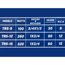 Bomba Pressurizador D'água Taurus Trs-12 260w 127v Foto mini 3