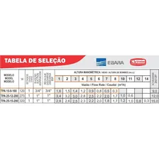 Bomba Pressurizadora De Água Thebe Tpa-15-9-160 220v Foto mini 4