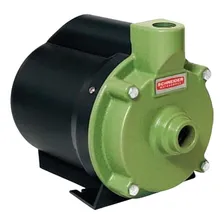 Bomba Schneider Bcr-2010 1cv Cor Verde 60hz Frequência 60 Hz Foto  mini 1