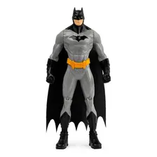 Boneco Articulado Sunny Batman DC Comics 15Cm 1 Unidade Foto mini 1