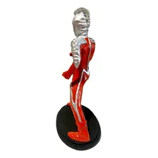 Boneco Ultraman Ultraseven Em Resina Ultra Seven 20cm Foto mini 4