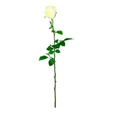 Botão De Rosa Gigante 90cm Flor Artificial Rosa Artificial Cor Branco Foto  mini 1