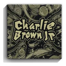Box Charlie Brown Jr. - Cbjr 10 Cds - Deluxe Charlie Brown J Foto mini  3