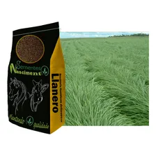 Brachiaria 10kg Humidicula Dictioneura Llanero - P/ 6.000m² Foto mini 3