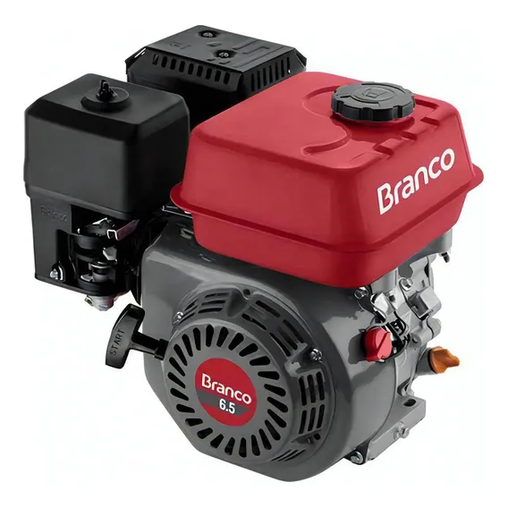 Branco 90500342 Motor À Gasolina - B4t 6,5cv Com Alerta De Óleo Foto 1