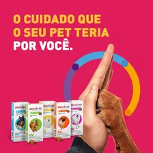 Bravecto Cães 10kg A 20kg E 01 Bravecto Cães 20kg A 40kg Foto mini 2