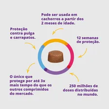 Bravecto P/ Cães De 10 A 20kg Foto mini 4