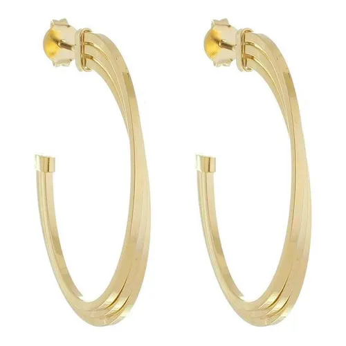 Brinco Argola Banhado A Ouro 18k Foto 1