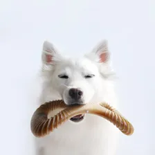 Brinquedo Cães Roer Benebone Dental Chew Amendoim Pequeno Foto mini 3