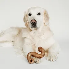 Brinquedo De Roer Benebone Tripe Bone Para Cachorro Médio Foto mini 4