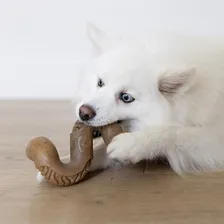 Brinquedo De Roer Benebone Tripe Bone Para Cachorro Médio Foto mini 3