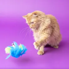 Brinquedo Fatcat Showgulls Catnip Para Gatos Cor: Azul Foto mini 3