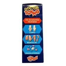 Brinquedo Kit Anatomia Humana 15 Peças Toyng Doctor Foto mini 2
