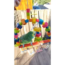 Brinquedo Para Papagaio Balanço Encanto Das Aves Brinquedos Foto mini  2