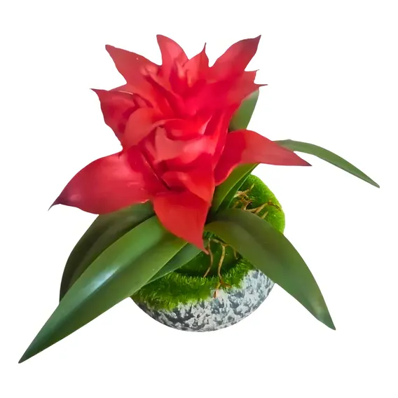 Bromélia Com Flor Planta Artificial Arranjo C/ Vaso Cor Prateado Foto 1