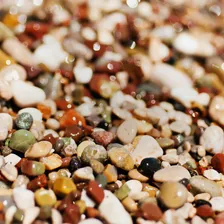 Brseeds Mix - Mix Para Pasto - Saco 10 Kg Foto mini 1