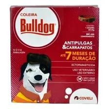 Bulldog Coleira Cães 64cm Foto mini 1