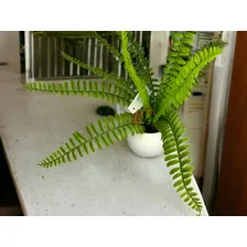 Buque Arranjo Ramo Folhagem Samambaia Escadinha Artificial Foto mini 2
