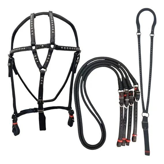 Cabeçada Profissional Butão E Rédea Completa Para Cavalo Cor Preto Foto 1