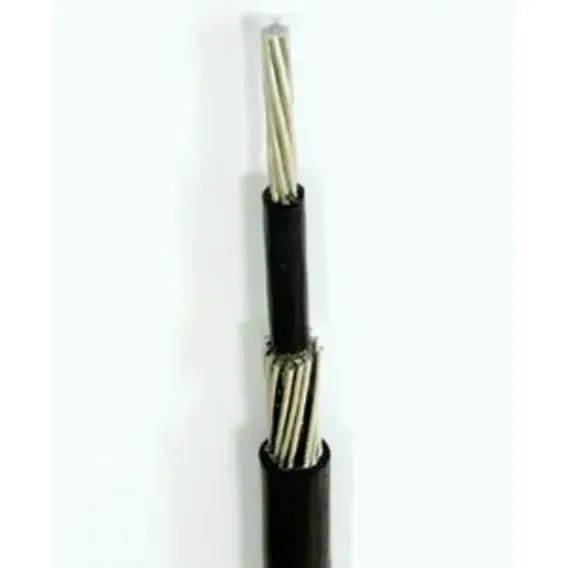 Cabo Aluminio Antifurto 10mm 30 Metr Fase+neutro Concentrico Foto 1